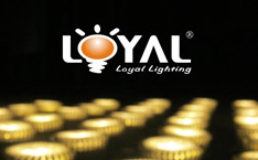 莱雅LED照明