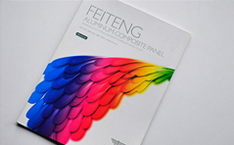 FEITENG