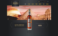 中山市伟邦酒业有限公司